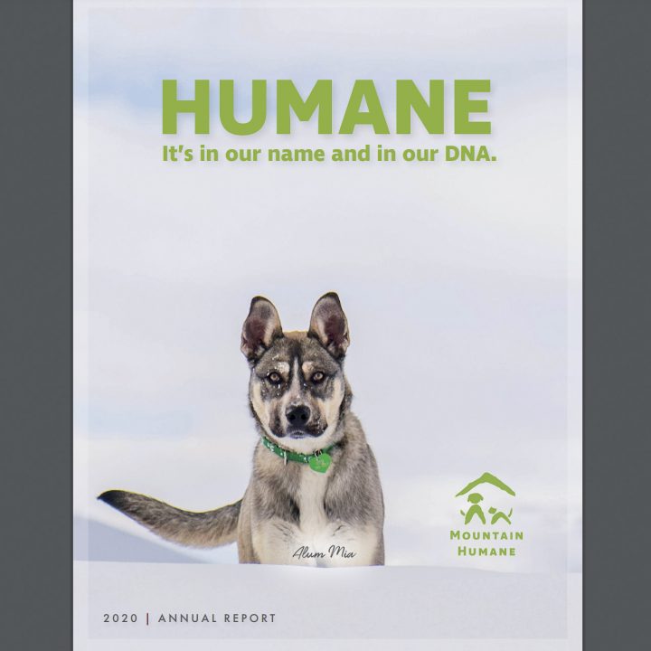 Cover for HUMANE. A working class dog running towards the camera in a field of snow.