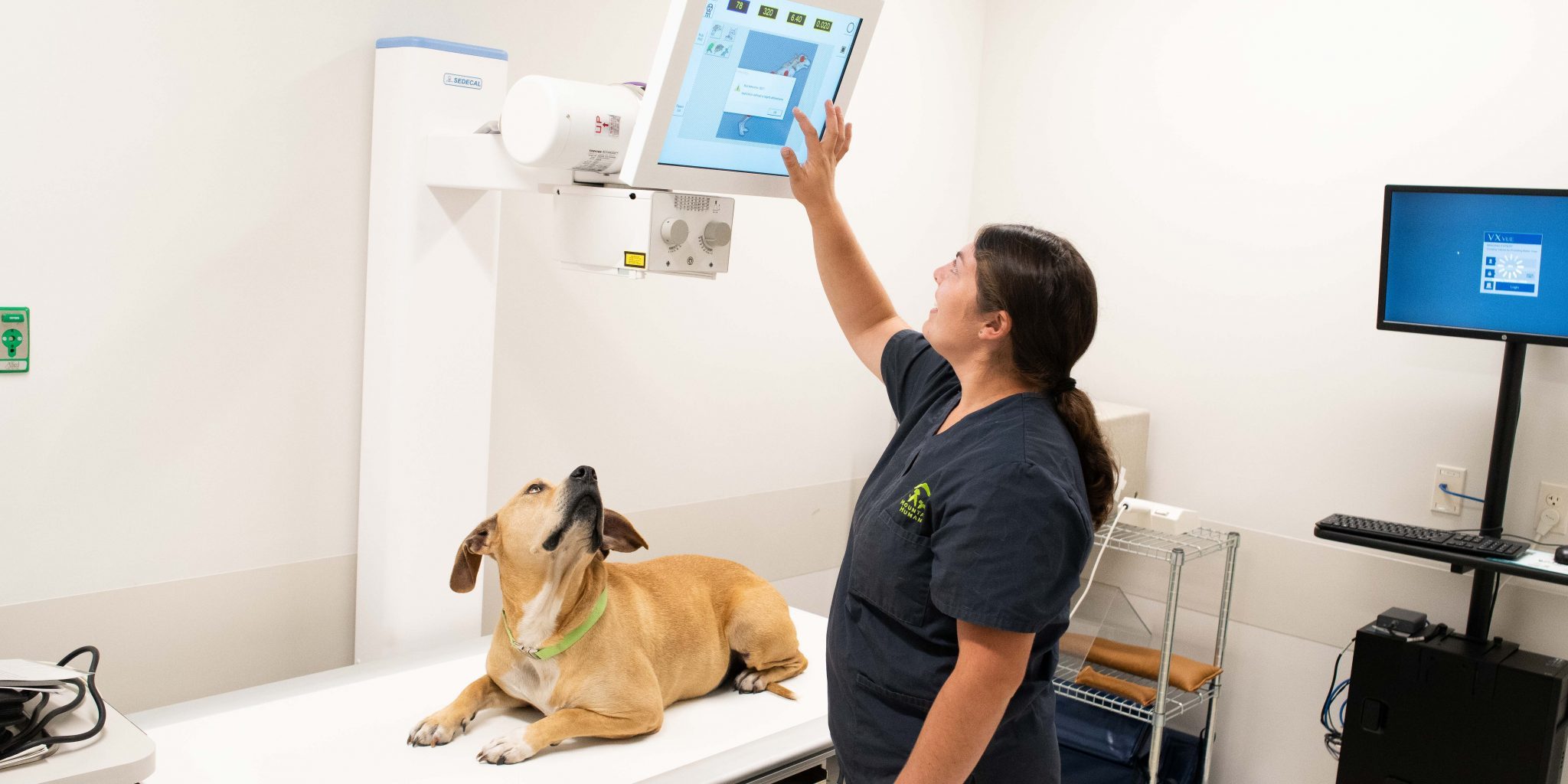 Woman interacting with a monitor above a dog laying on a radiology table